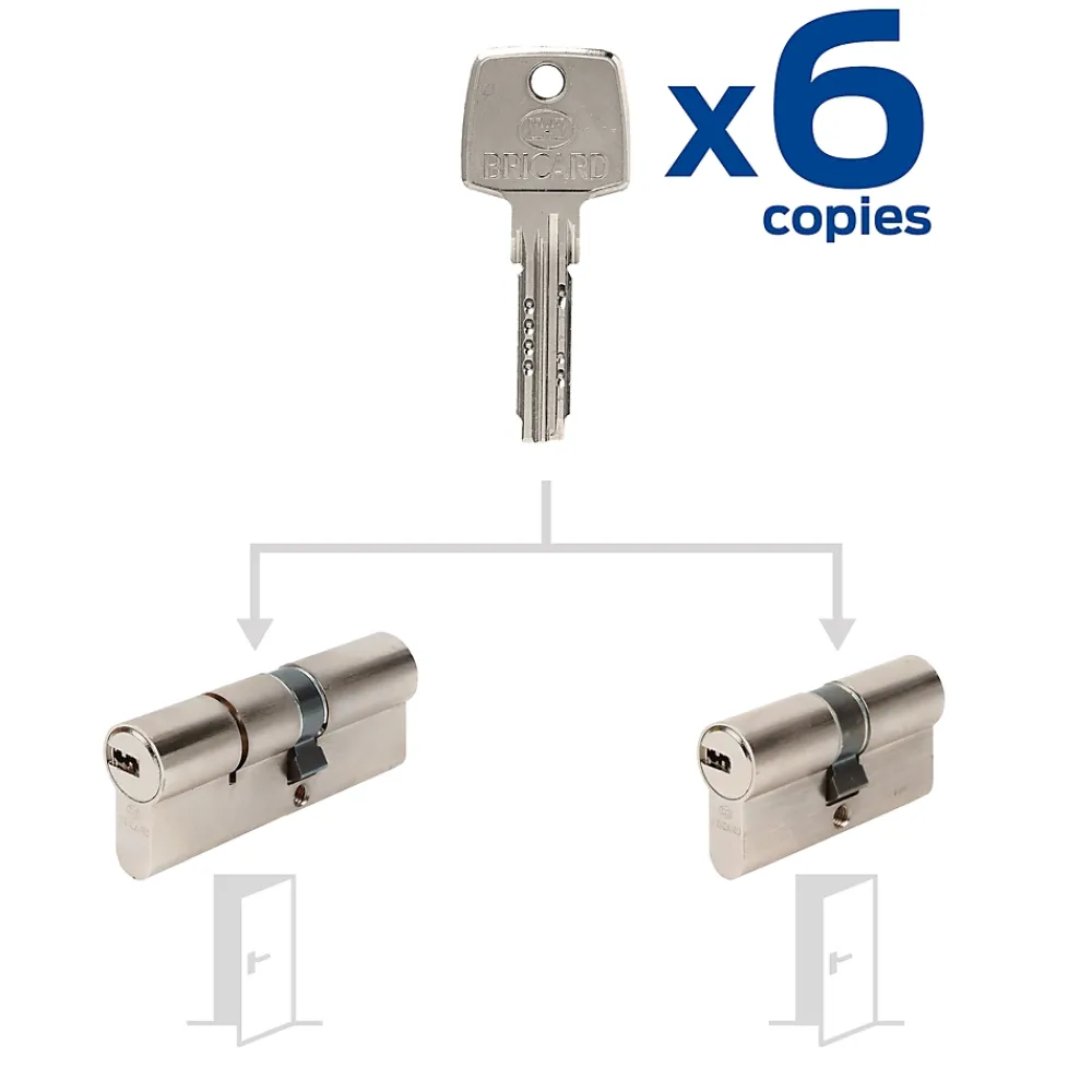 Bricard Cylindre De Serrure-2 Cylindres débrayables 40x50/30x30 mm avec 6 clés