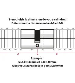 Autres Cylindre serrure porte debrayable haute sécurité clés réversibles Carte propriété Trafic 6 Thirard Taille - 30x65mm