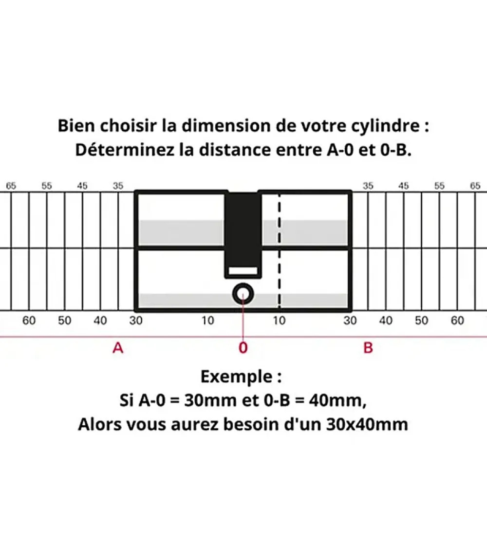 Autres Cylindre serrure porte debrayable haute sécurité clés réversibles Carte propriété Trafic 6 Thirard Taille - 30x65mm