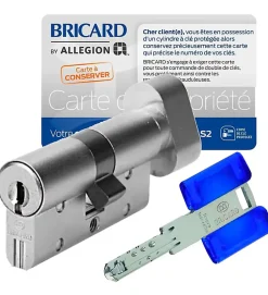 Autres Cylindre serrure 30x30 mm à bouton acier renforcé 3 clés CHIFRAL S2 BRICARD