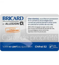 Autres Cylindre serrure 30x30 mm à bouton acier renforcé 3 clés CHIFRAL S2 BRICARD