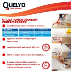 Quelyd Décolleur de papier peint Dissoucol - surface de couverture 140 m² - contenance 0,25 L - 30611831