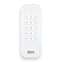 Delta Dore Box Domotique-- Télécommande 5 Canaux - Tyxia 1700