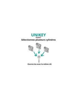 Thirard Demi cylindre de serrure Transit 1 UNIKEY (achetez-en plusieurs, ouvrez avec la même clé), 40x10mm, 5 clés, nickelé -