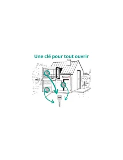 Thirard Demi cylindre de serrure Transit 1 UNIKEY (achetez-en plusieurs, ouvrez avec la même clé), 40x10mm, 5 clés, nickelé -