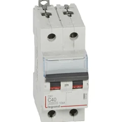 Legrand Disjoncteur Et Coupe-Circuit-407788 Disjoncteur Bipolaire 40a - 2p Courbe C - 6/10ka - à Vis - Dx3