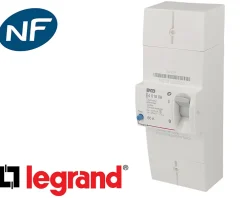 Legrand Disjoncteur EDF monophasé sélectif 60A Baco