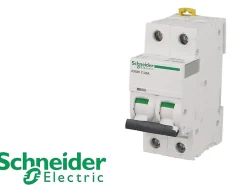 Schneider Electric Disjoncteur Et Coupe-Circuit-Disjoncteur modulaire bipolaire Schneider Acti9 iC60N 20A courbe D
