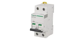 Schneider Electric Disjoncteur modulaire bipolaire Schneider Acti9 iC60N 16A courbe D