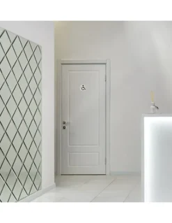 Thirard Disque de signalisation WC Handicapé , à visser, inox brossé, marquage noir, diamètre 76mm -