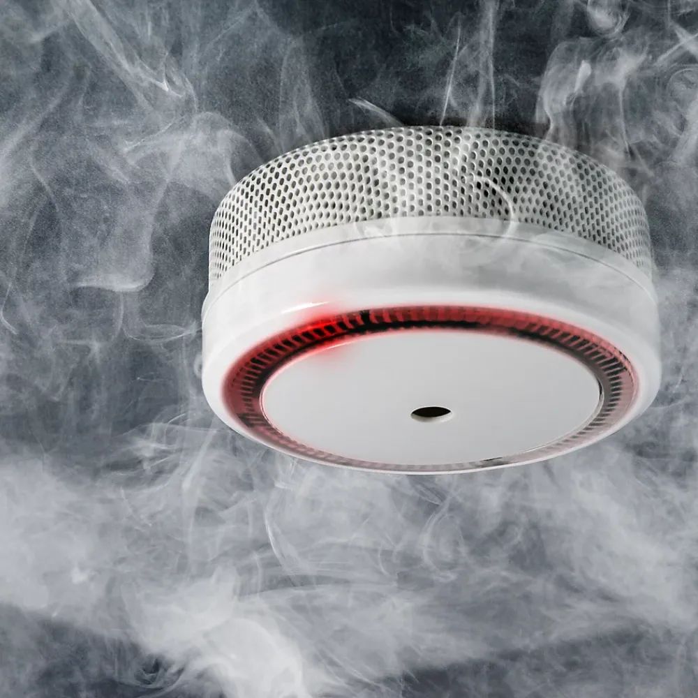 Détecteur De Fumée|Détecteur De Fumée, Gaz Et Protection Incendie-Détecteur de fumée Evacuate autonomie 10 ans 85 dB(A)