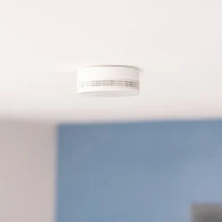 Netatmo Détecteur De Fumée|Détecteur De Fumée, Gaz Et Protection Incendie-Détecteur de fumée intelligent