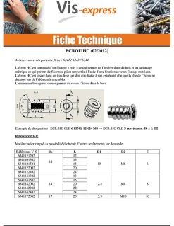 Vis Express Écrou-Ecrou Clé de 6 HC6 M6 12X20 Acier zingué - 500 pièces
