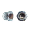 D-Work 50 Ecrous Borgnes M20 mm - DIN 1587 - Zingué blanc -