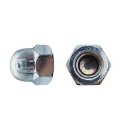 D-Work 50 Ecrous Borgnes M20 mm - DIN 1587 - Zingué blanc -