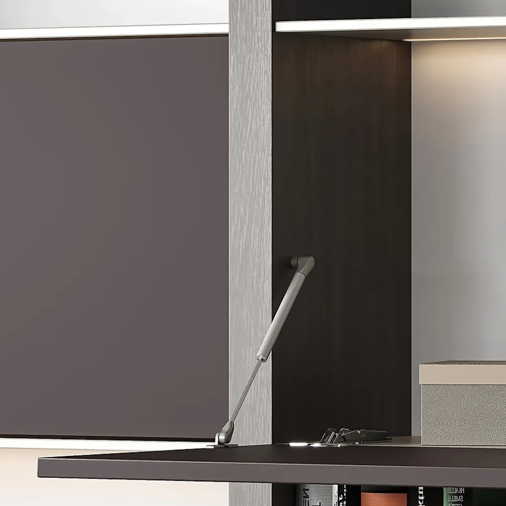 Emuca Charnière D'Ameublement-Piston de porte relevable Thin, diamètre 12mm, avec loquets, 10kg, acier et plastique, nickelé mat