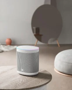 Xiaomi Assistant Vocal-Enceinte connectée Mi Smart Speaker