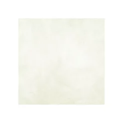 Arcane Industries ENDUIT DE CUVELAGE PISCINE FINITION BETON CIRE - ARCACIM DECO Isatis Blanc - 16 m² -