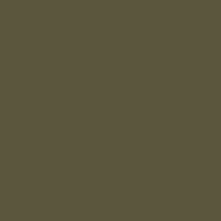 Arcane Industries Enduit d'étanchéité Piscine Cuve Hors Sol - ARCACIM S2 AQUA. Gris Marron Proche - RAL 7013 - 20 kg -