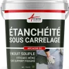 Arcane Industries Enduit d'étanchéité sous carrelage dalle/chape extérieure - ARCACIM S2 Gris Marron Proche - RAL 7013 - 4 kg -