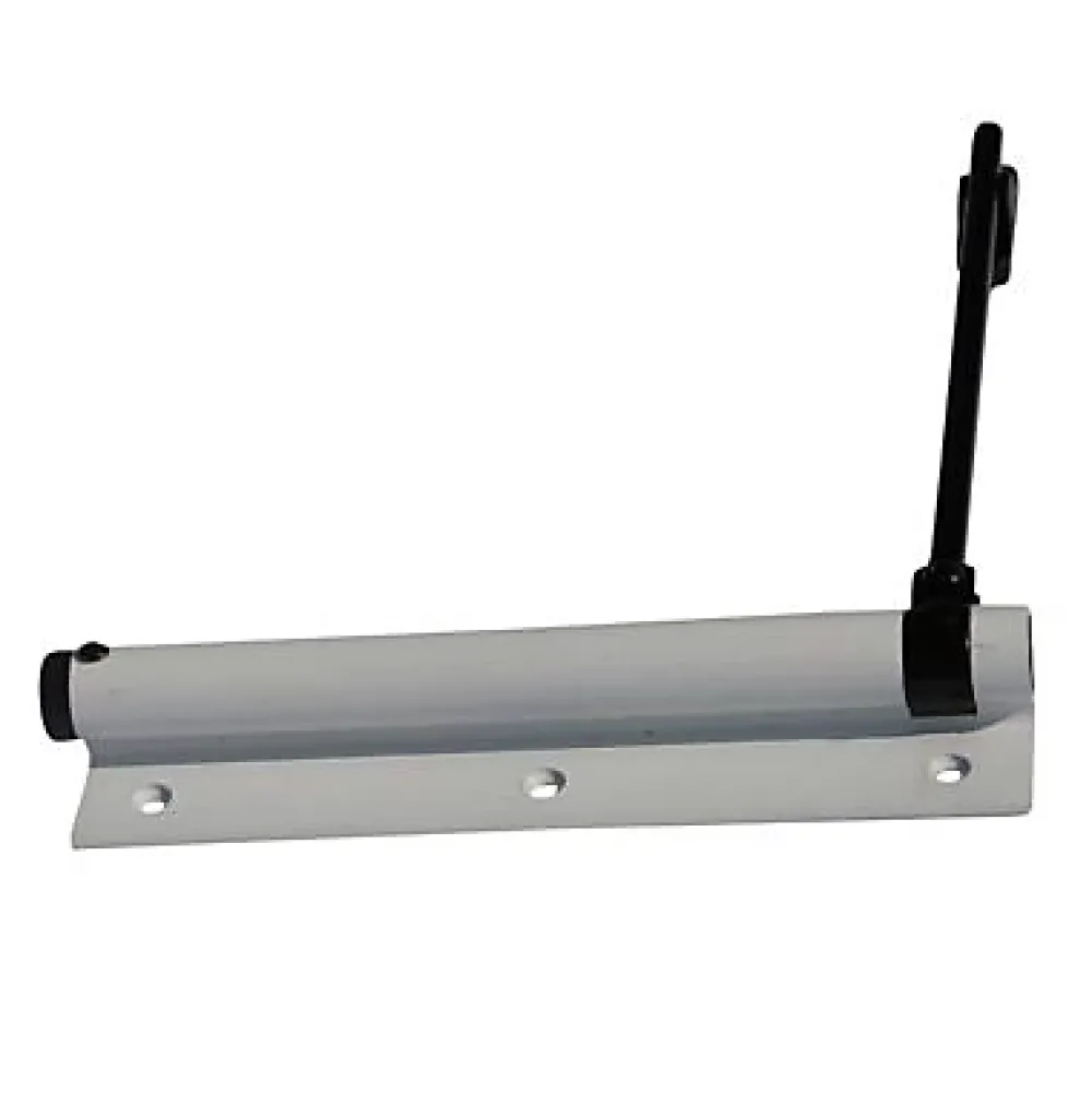 Diall Ferme-porte à tige noir Aluminium