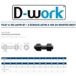 D-Work Écrou-20 Filets et 2 Ecrous Montés D. 22 x 200 mm - ASTM A193 et ASTM A194 - Brut -
