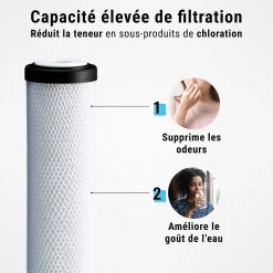 Sinea Filtre charbon actif en coquille de noix de coco 10'' ECOSOFT lot de 4