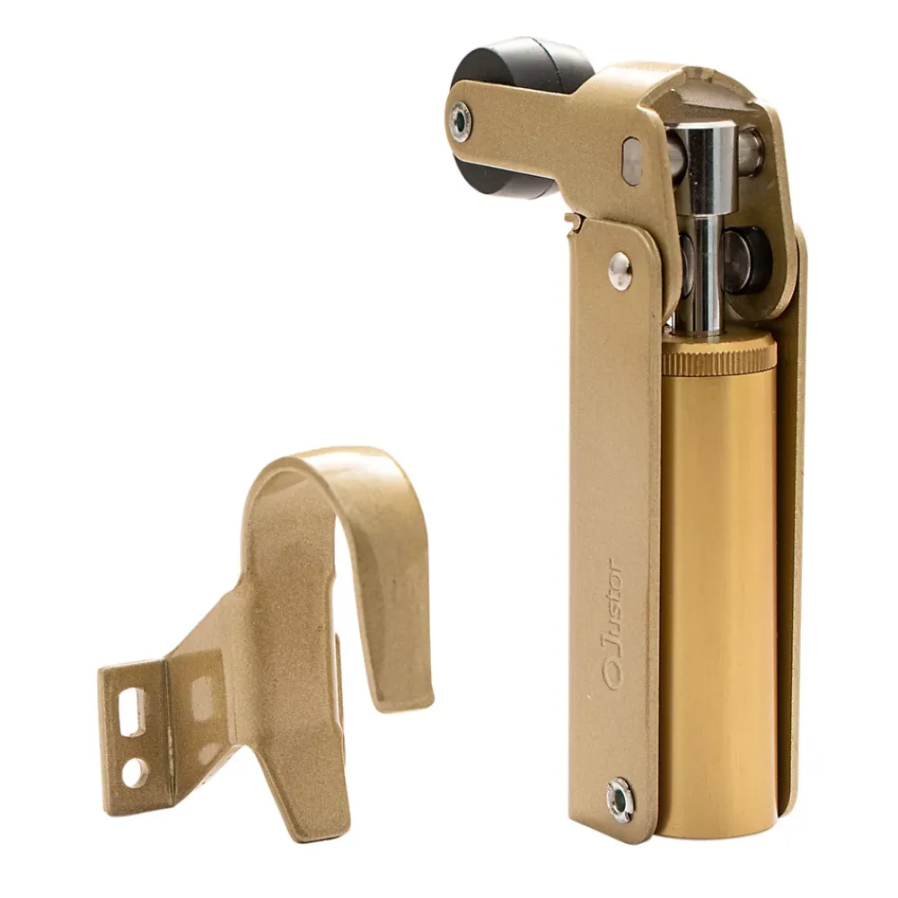 Hardwarexchange Ferme-Porte-Frein rétention Réglable force 80 a 115 N, aluminium anodisé or, pour porte jusquà 100 KG.