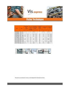 Vis Express Goujon D'Ancrage-Goujon Ancrage M10X80 Acier zingué - 1 pièce