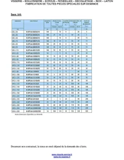 Vis Express Goujon D'Ancrage-Goujon Ancrage R-XPT M8X115 Acier zingué - 100 pièces