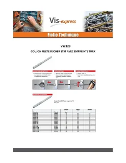 Fischer Goujon fileté STST TORX T15 Acier zingué 6X60 - 1 pièce