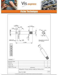 Vis Express Goujon RACCORDEMENT Métaux 6X35 Acier zingué - 1 pièce
