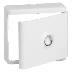 Legrand Habillage + porte pour platine de branchement DRIVIA