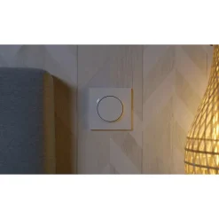 Schneider Electric Interrupteur Encastrable-Interrupteur poussoir 10A à vis  Odace blanc