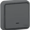 Schneider Electric Interrupteur Étanche-Interrupteur poussoir lumineux étanche complet encastré Mureva Styl anthracite