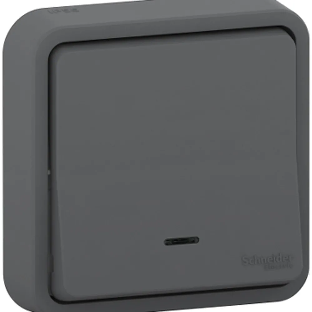 Schneider Electric Interrupteur Étanche-Interrupteur poussoir lumineux étanche complet encastré Mureva Styl anthracite