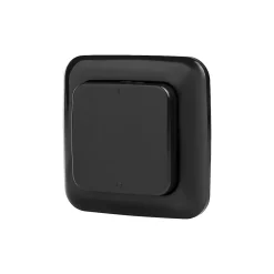 Smartwares Commande De L'Éclairage-Interrupteur sans fil 2G noir
