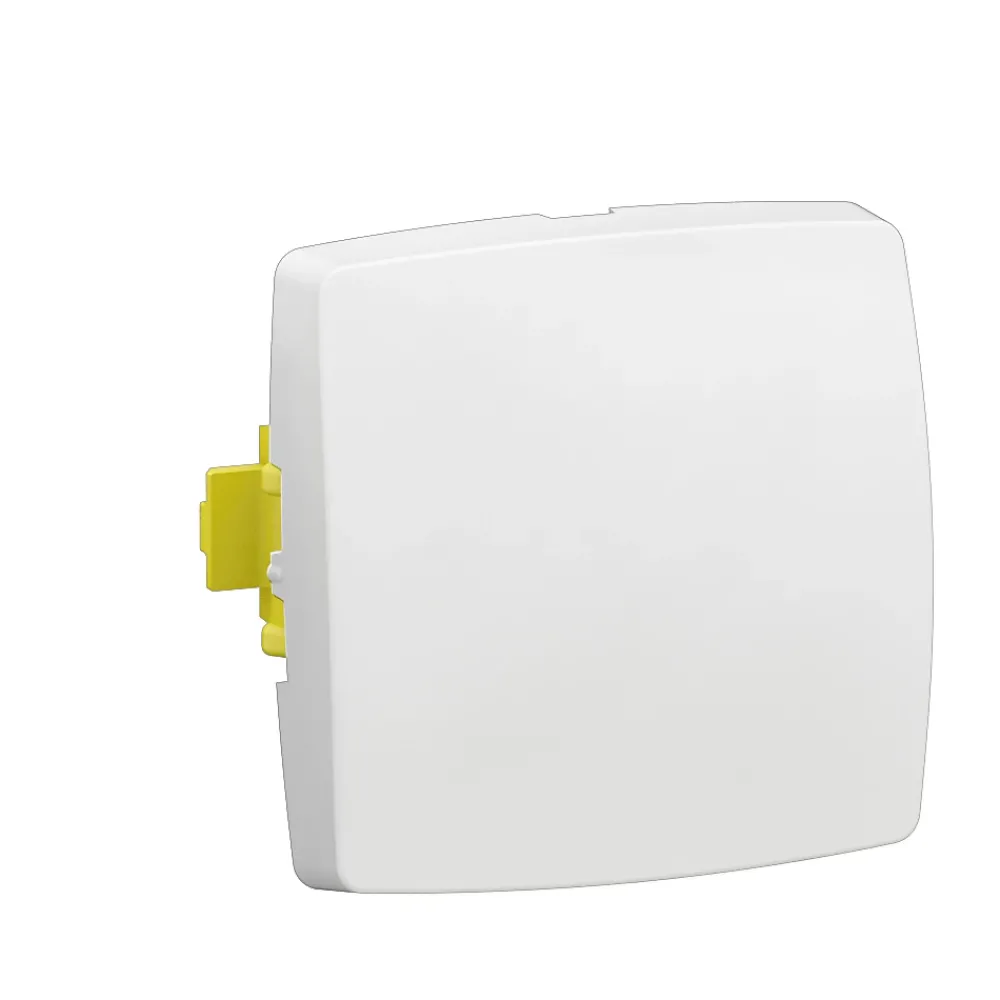 Legrand Interrupteur En Saillie-Interrupteur simple pour moulure à composer blanc
