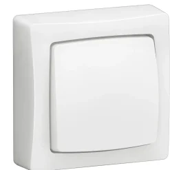 Legrand Interrupteur En Saillie-Interrupteur simple saillie complet blanc