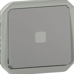 Legrand Interrupteurs temporisé - Plexo - - Composable - Témoin lumineux