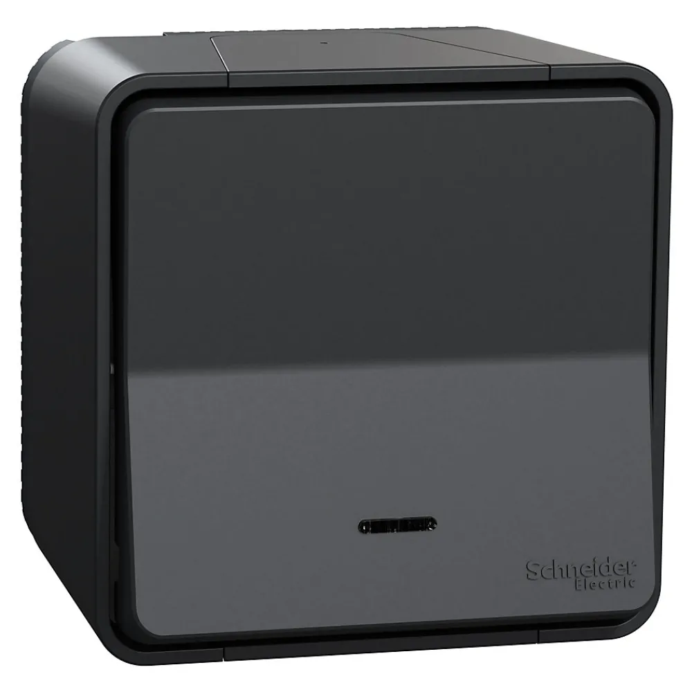 Schneider Electric Interrupteur En Saillie-Interrupteur va-et-vient lumineux étanche complet saillie Mureva Styl anthracite