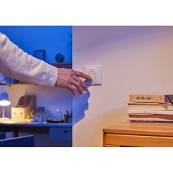 Schneider Electric Interrupteur va-et-vient Ovalis blanc