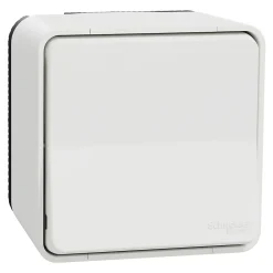 Schneider Electric Interrupteur va-et-vient étanche complet saillie Mureva Styl blanc