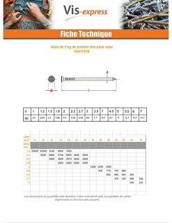 Homme Vis Express Kg de pointes Acier brut Tête plate 2.7X55 - 5 pièces