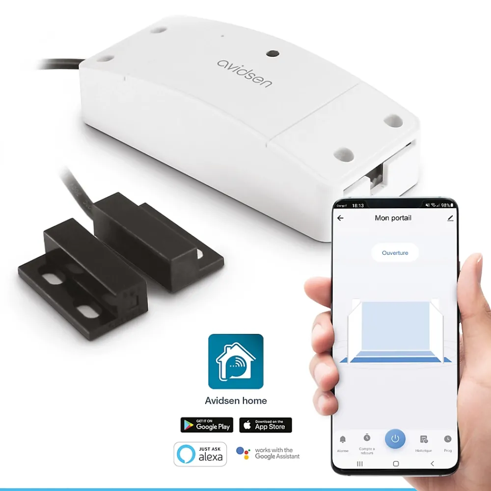 Avidsen Kit Motorisation à vérins pour portail à battants - Teha 410 et sa batterie de secours