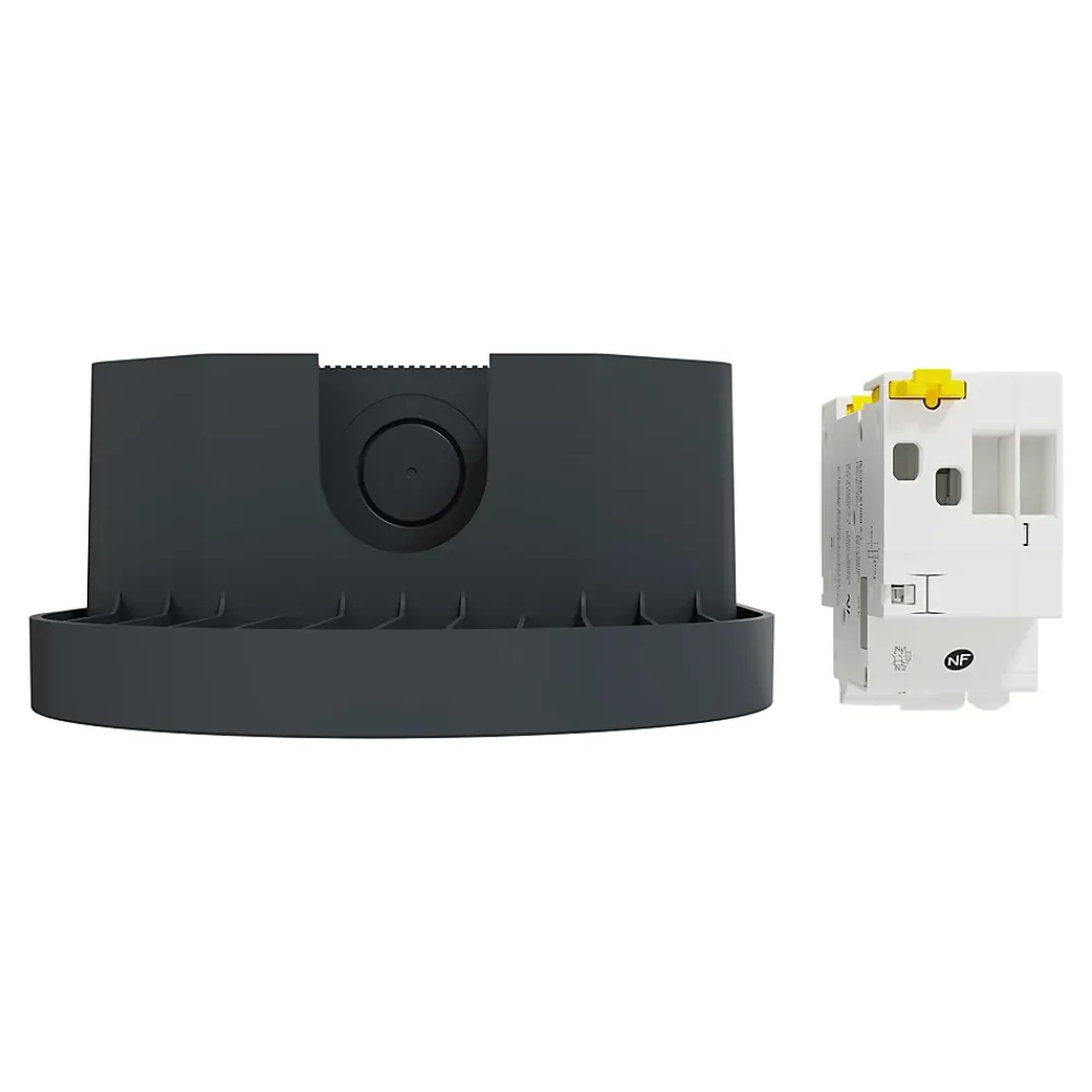 Schneider Electric Borne Recharge Voiture Électrique-Kit Mureva EVlink - Protection + Prise courant 2P+T renforcée VE IP66 IK08 Gris