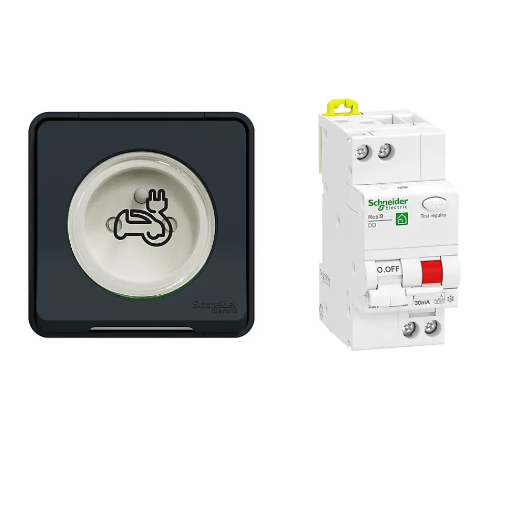 Schneider Electric Borne Recharge Voiture Électrique-Kit Mureva Styl - Protection + Prise courant 2 pôle+terre renforcée VE IP55 IK08 Gris