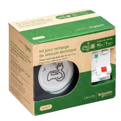 Schneider Electric Borne Recharge Voiture Électrique-Kit Mureva Styl - Protection + Prise courant 2 pôle+terre renforcée VE IP55 IK08 Gris