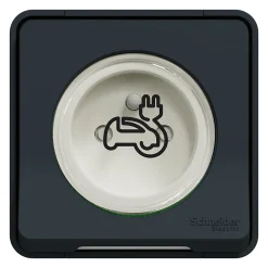 Schneider Electric Borne Recharge Voiture Électrique-Kit Mureva Styl - Protection + Prise courant 2 pôle+terre renforcée VE IP55 IK08 Gris