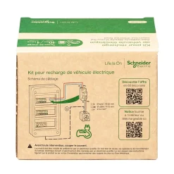 Schneider Electric Borne Recharge Voiture Électrique-Kit Mureva Styl - Protection + Prise courant 2 pôle+terre renforcée VE IP55 IK08 Gris